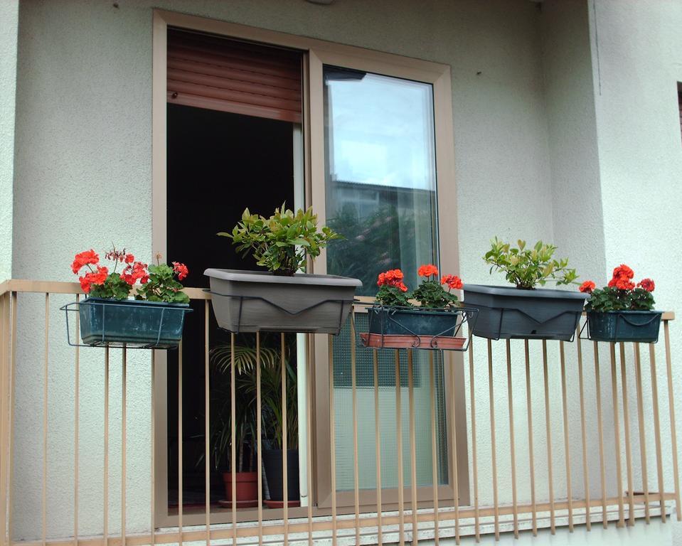 Guest House Cuore Del Friuli Удине Экстерьер фото